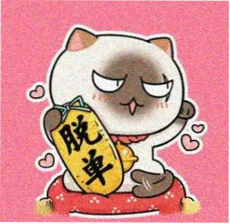 用户 胶片收藏夹 头像